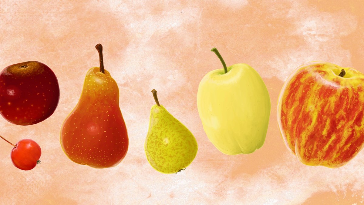 äpplen och päron