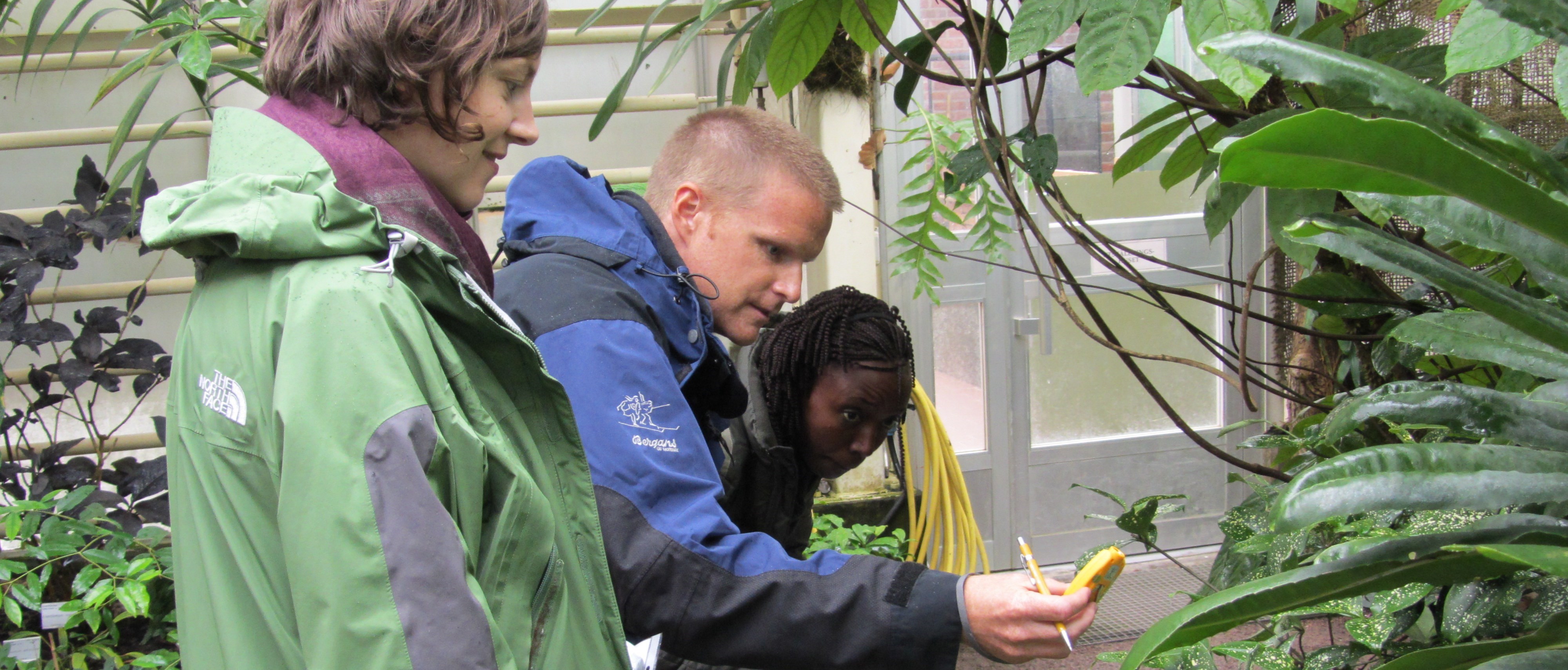 Studenter studerar växter i växthuset