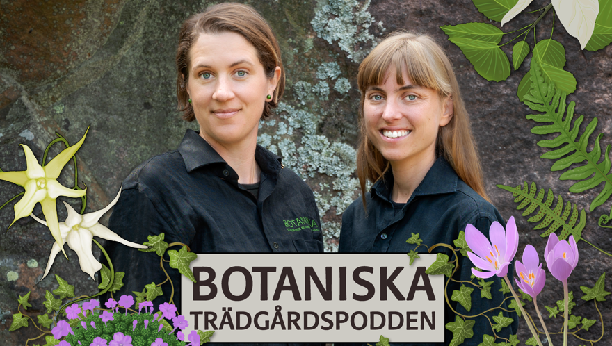 Botaniska trädgårdspodden