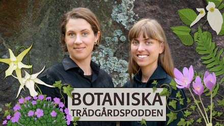 Åsa Krüger och Stina Weststrand