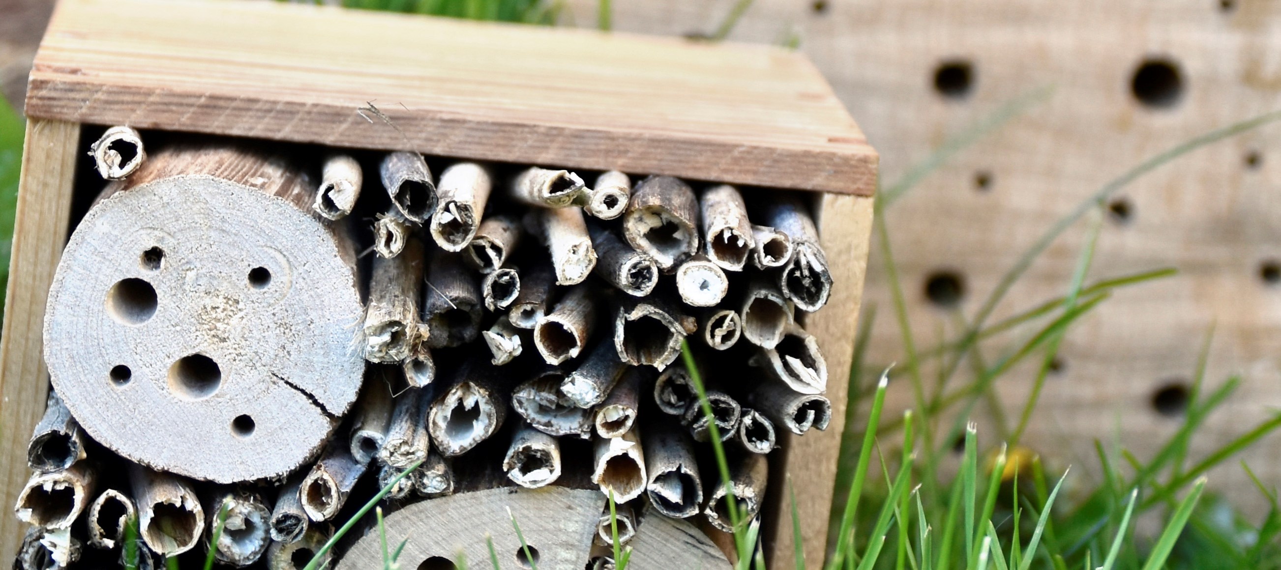 hotell för insekter