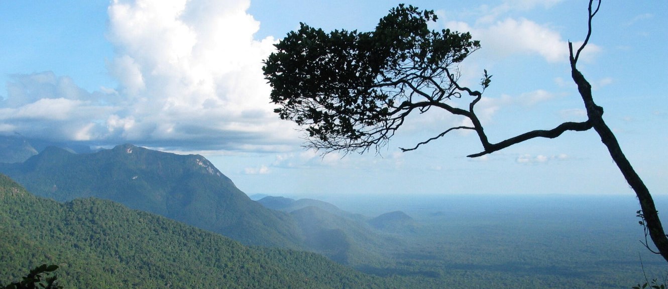 Amazonas