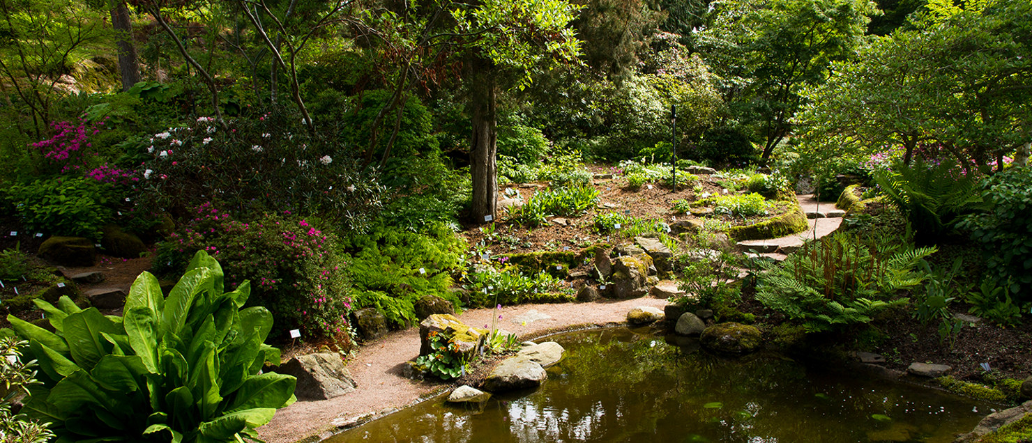 Botaniska Goteborgs Botaniska Tradgard