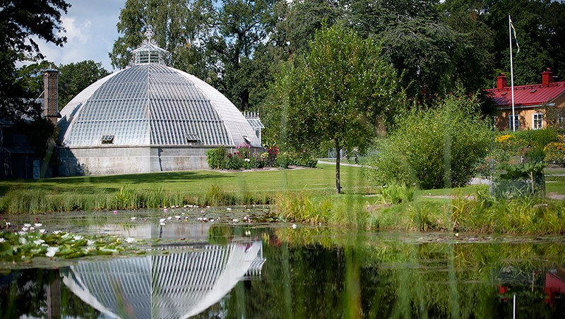 Begianska trädgården