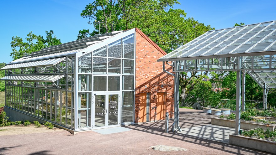 Bergshuset och lökträdgården
