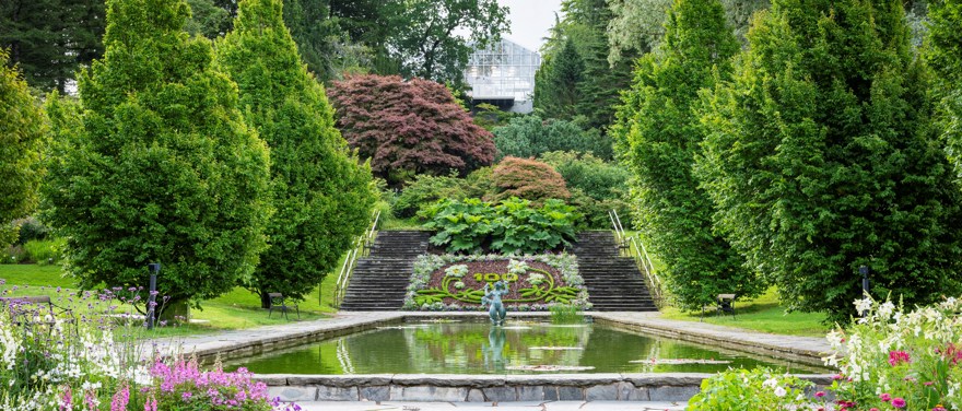 spegeldammen med motivrabbatt under jubileumsåret då Botaniska firade 100 år