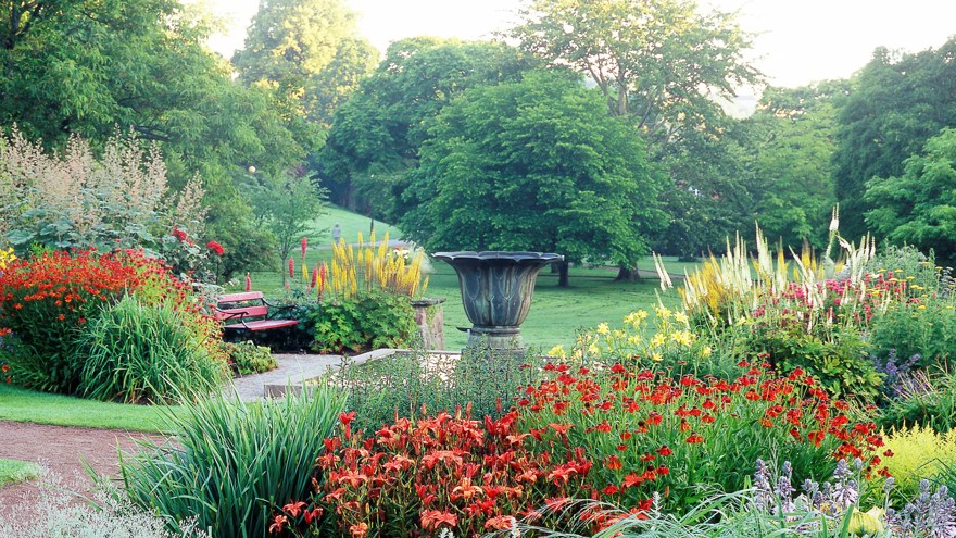 perennträdgården