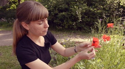 Stina Weststrand håller i kornvallmo vid blomsteräng