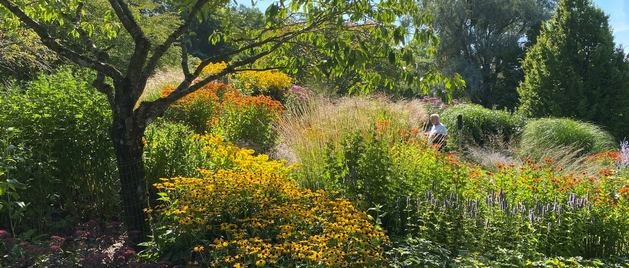 Anläggningen Gramina et flores