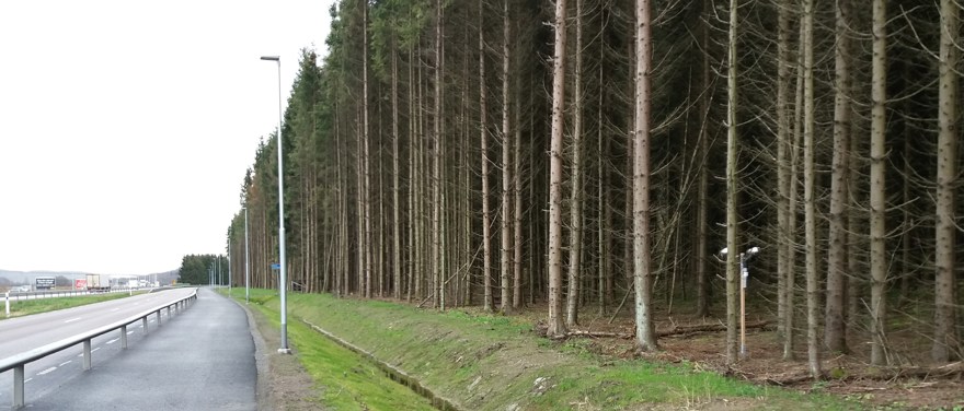 luftföroreningsmätstation i granplantering vid väg