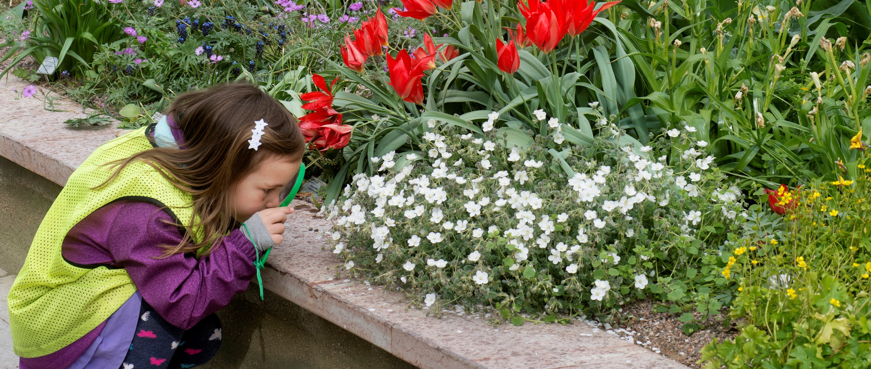 Lökträdgården Botaniska