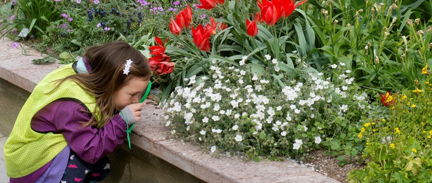 Lökträdgården Botaniska