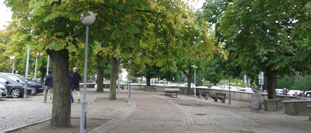 Stadsmiljö med parkträd vid stenlagt torg i Göteborg.