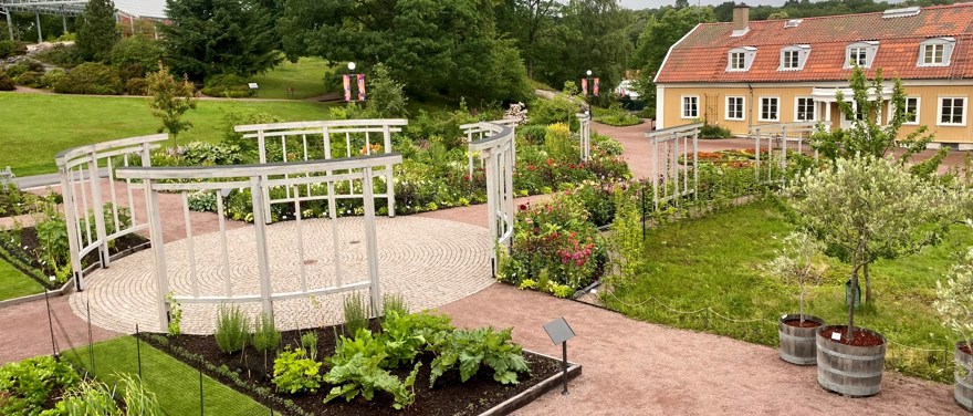 kulturträdgårdarnas grönsaksland