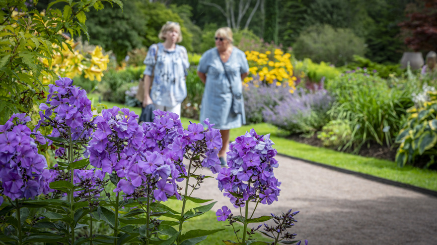 besökare i Perennträdgården