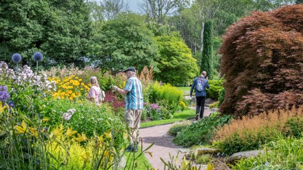Besökare i perennträdgården