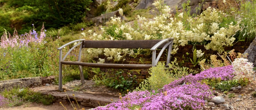 bänk omgiven av blomsterprakt